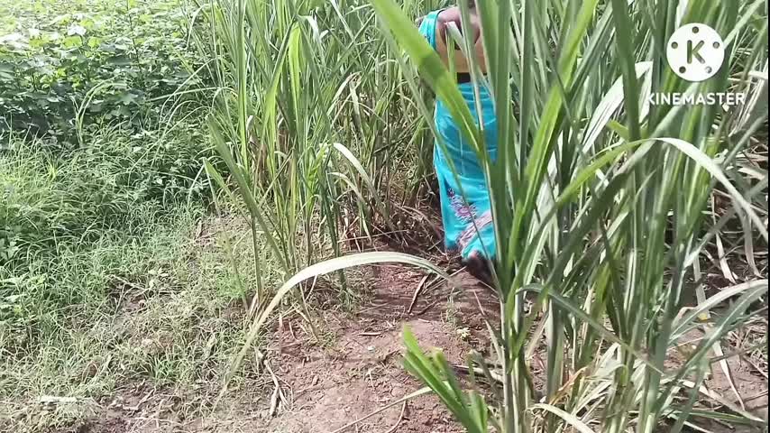 Marathi wife fast time outdoors fucking