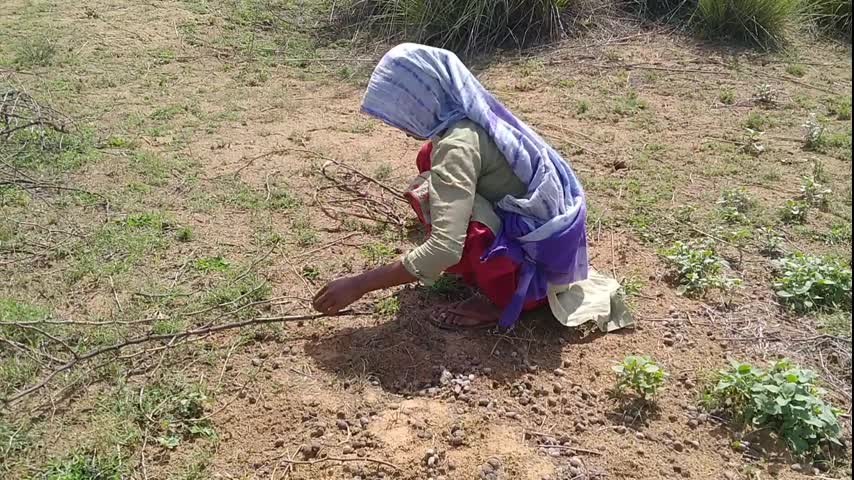 gave the pleasure of sex with hot sister-in-law to my younger sister’s future husband. He put a condition in front of me that i