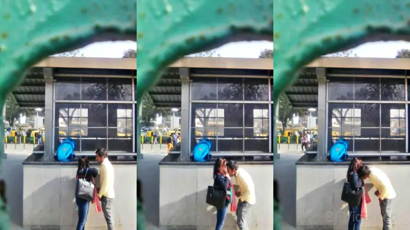 Office Colleagues Outdoor Sex MMS