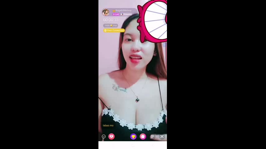 Myd chamet mb collection 1812025 -131