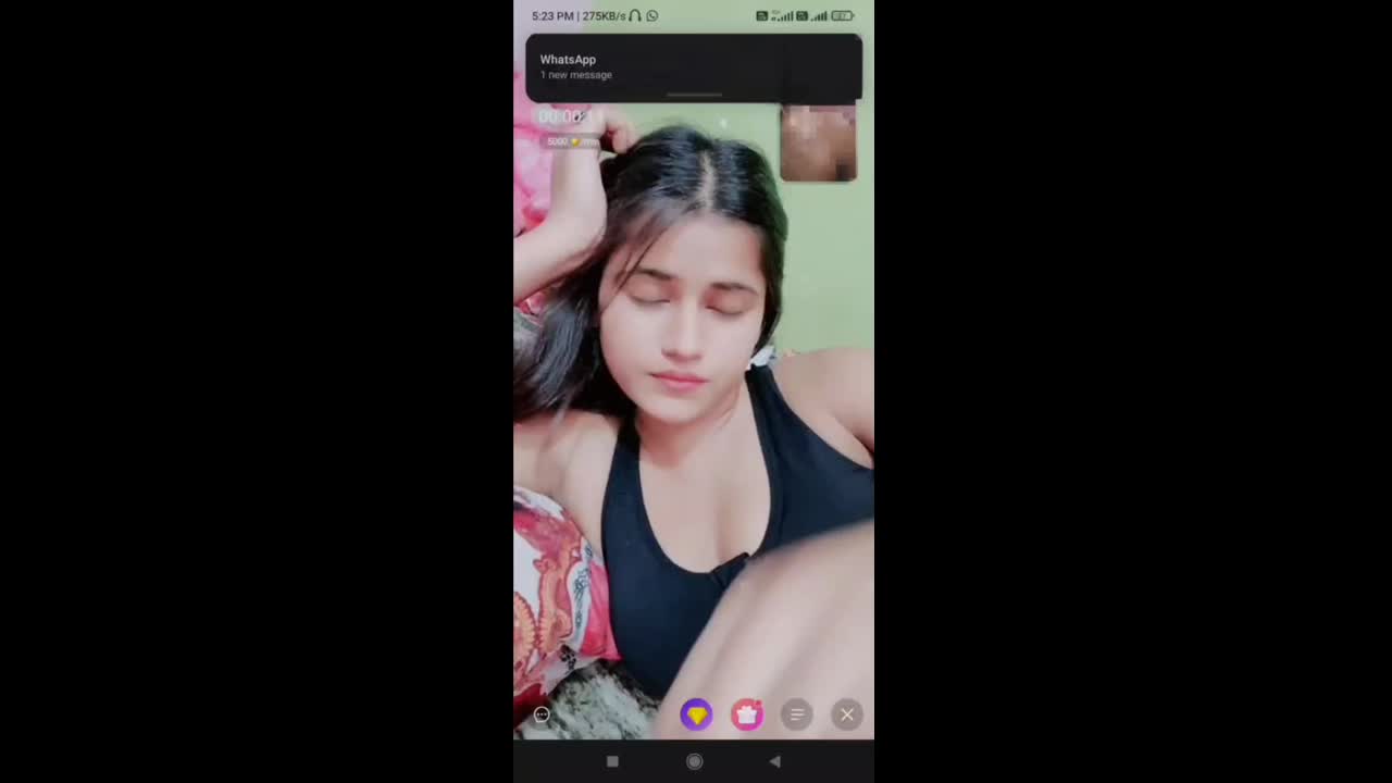 Myd-max-Chamet-Premium-Collection–12262024-319