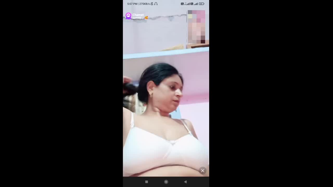 Myd-max-Chamet-Premium-Collection–12262024-393