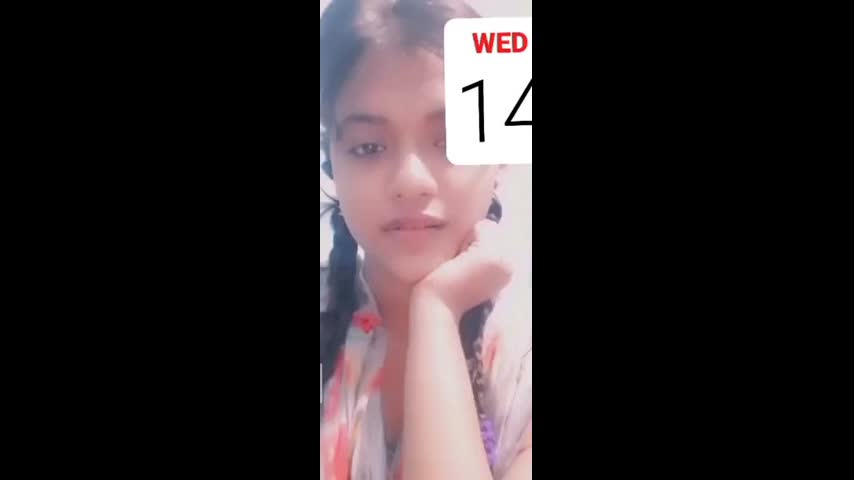 Myd random chamet collection 942025-346