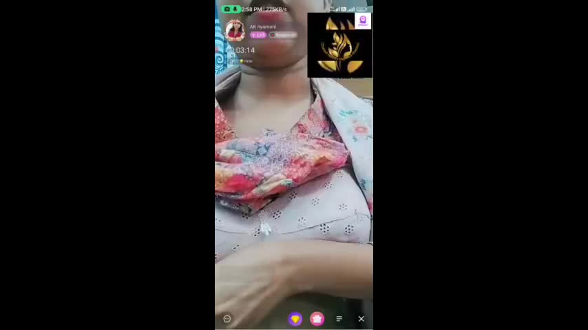 Myd random chamet collection 942025-359