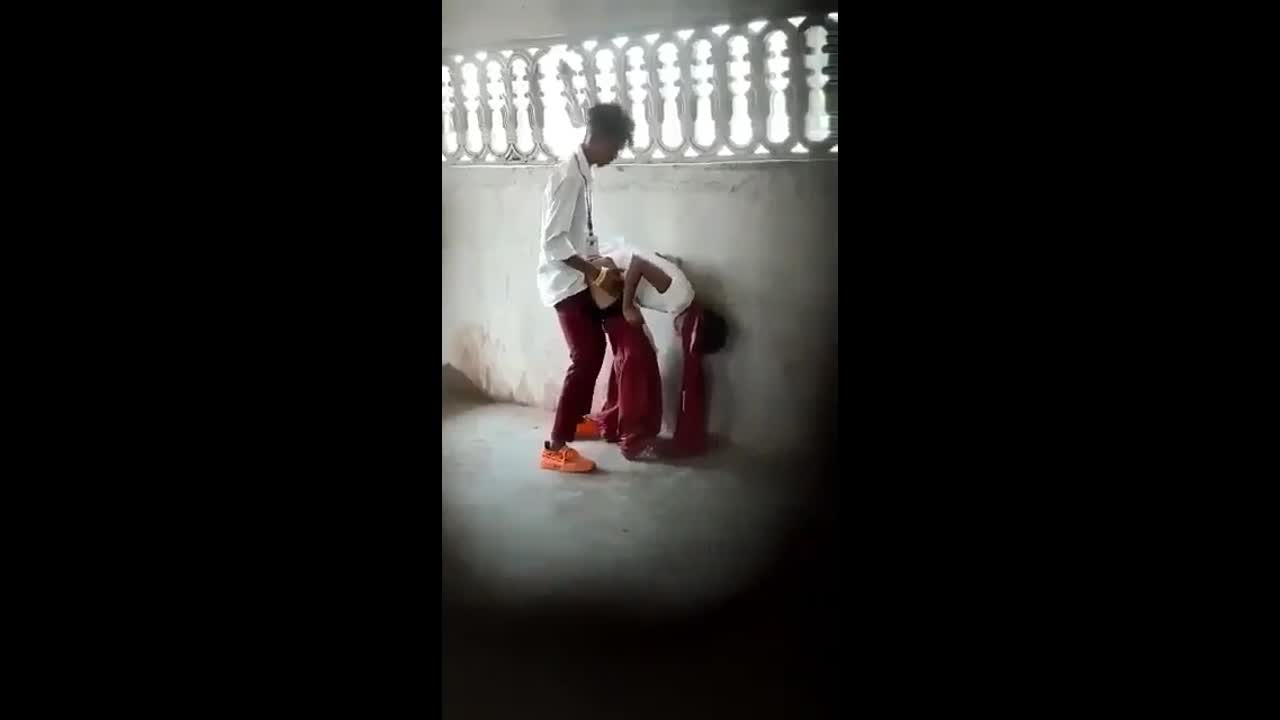 Myd pk video collection 15202578